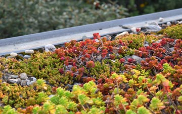 the cost of Busbiehill green roof installation