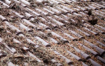 Busbiehill roof cleaning companies