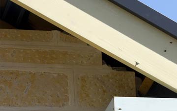 soffit repair Busbiehill
